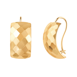 Серьги 20380А-5 (Au 585)