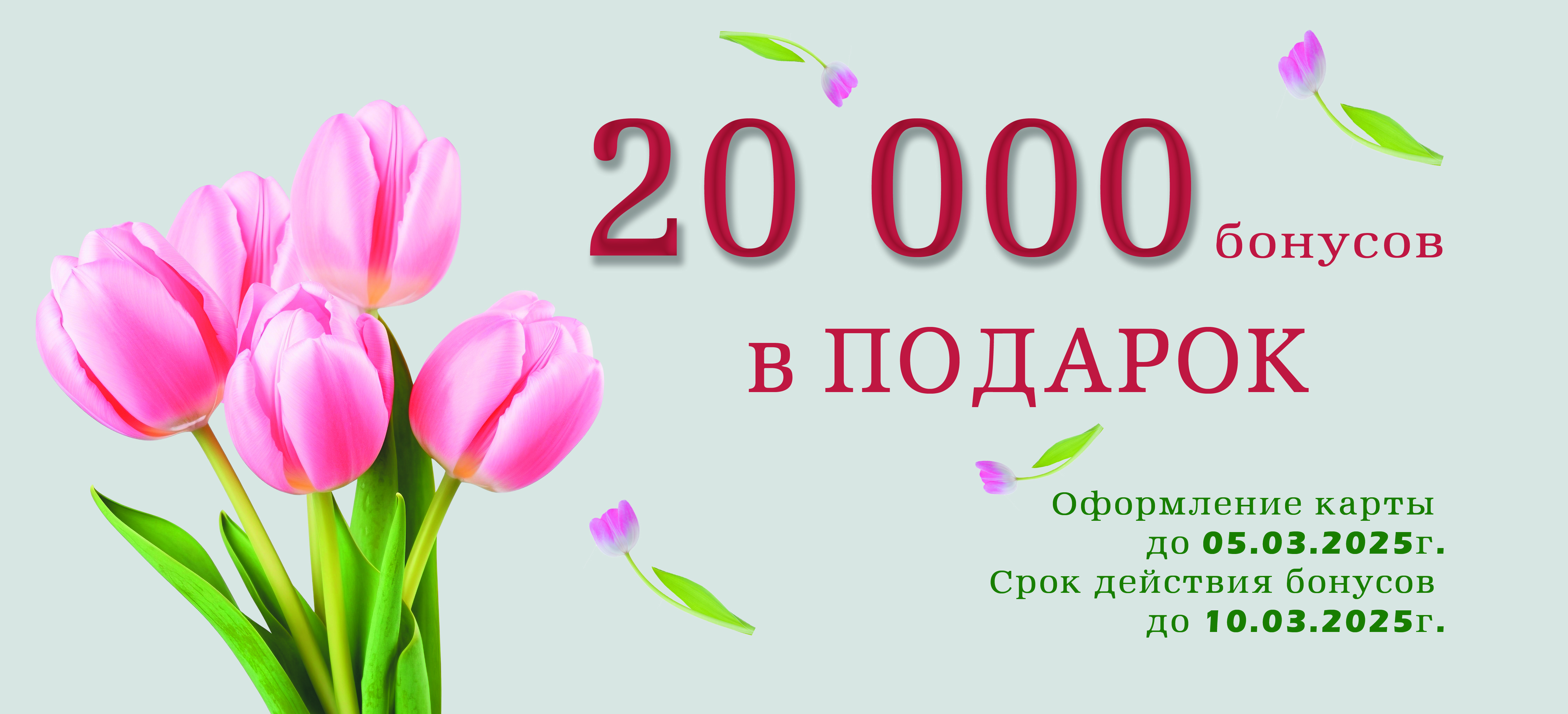 20000 весна копия